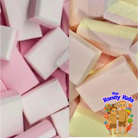Mixed Sherbert Ice Blocks